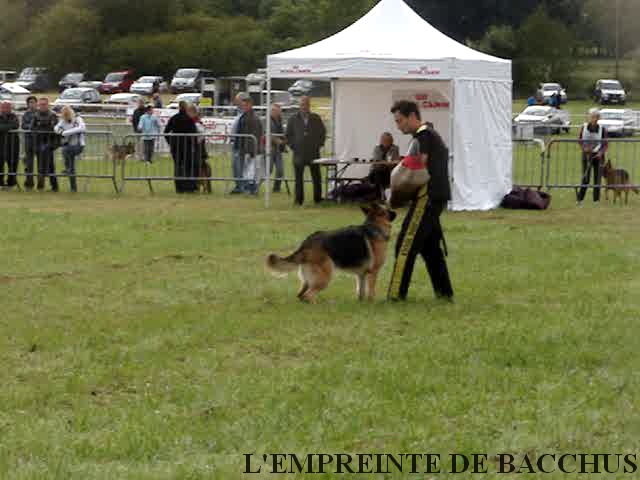 DJUDIE PHOTOS TEST DE CARACTERE NATIONALE SCBA 2011